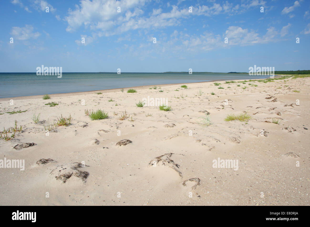 Il canto di sabbia a Luidja beach, Hiiumaa island, Estonia Foto Stock