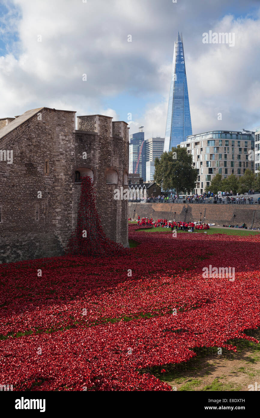 Torre di Londra Poppy Papaveri sangue Sweep Terre e mari di Rosso UK Fotografia