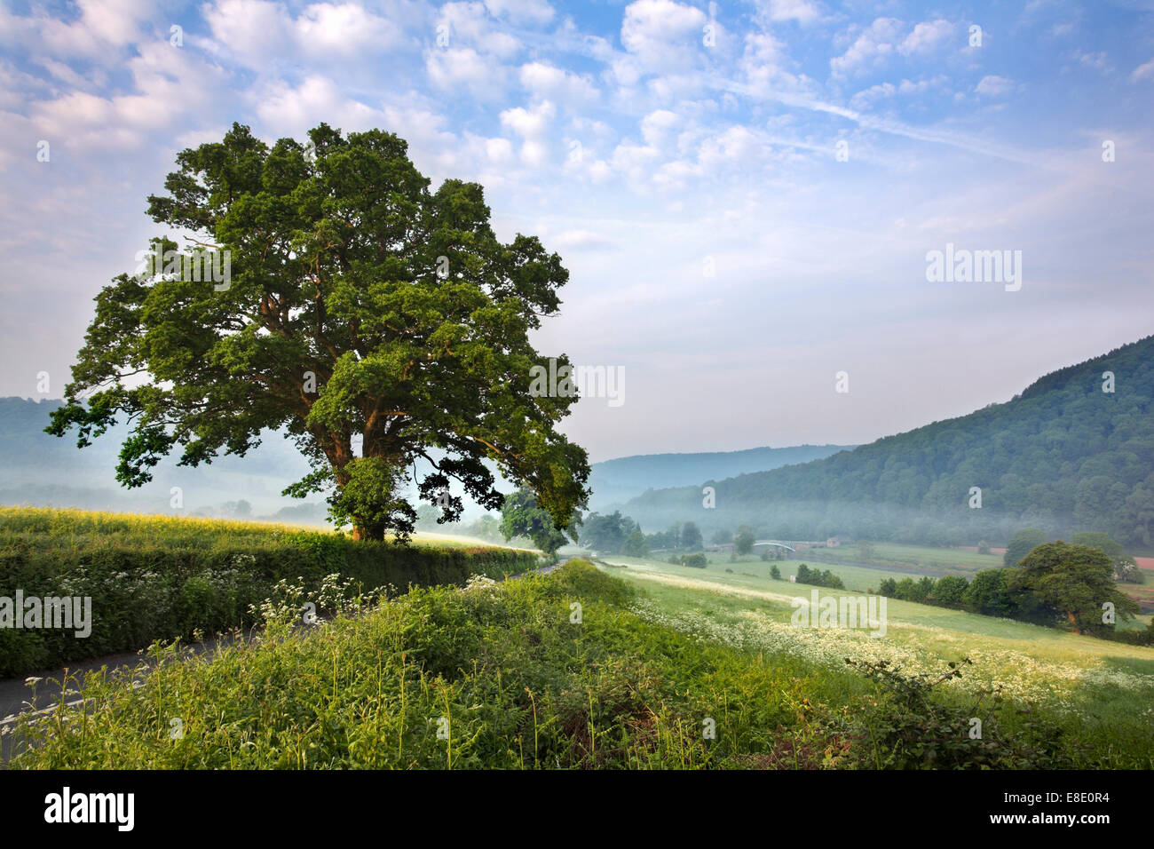 Bigsweir sul Gloucestershire, Monmouthshire confine. Foto Stock