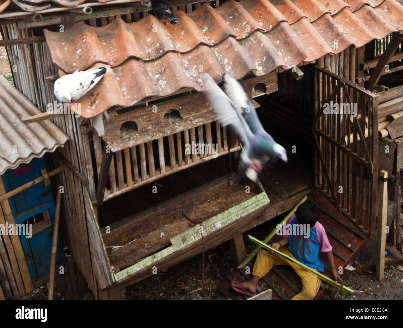 (141006) -- JAKARTA, 6 ott. 2014 (Xinhua) -- Un ragazzo gioca con un pezzo di foglia di banano controfiletto in corrispondenza di una delle baraccopoli di Jakarta, Indonesia, 6 ott. 2014, il World Habitat Day. Quest'anno il tema della Giornata mondiale dell'Habitat è 'Vocale dalla baraccopoli". (Xinhua/Veri Sanovri) Foto Stock