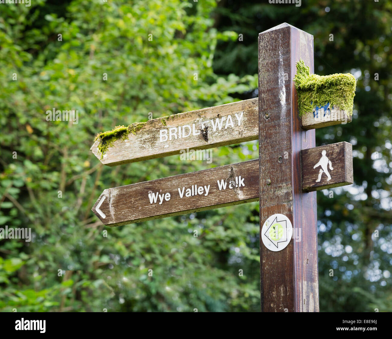 Moss cammino coperto marcatore sulla valle del Wye a piedi e Bridleway in Monmouthshire Galles del Sud Foto Stock