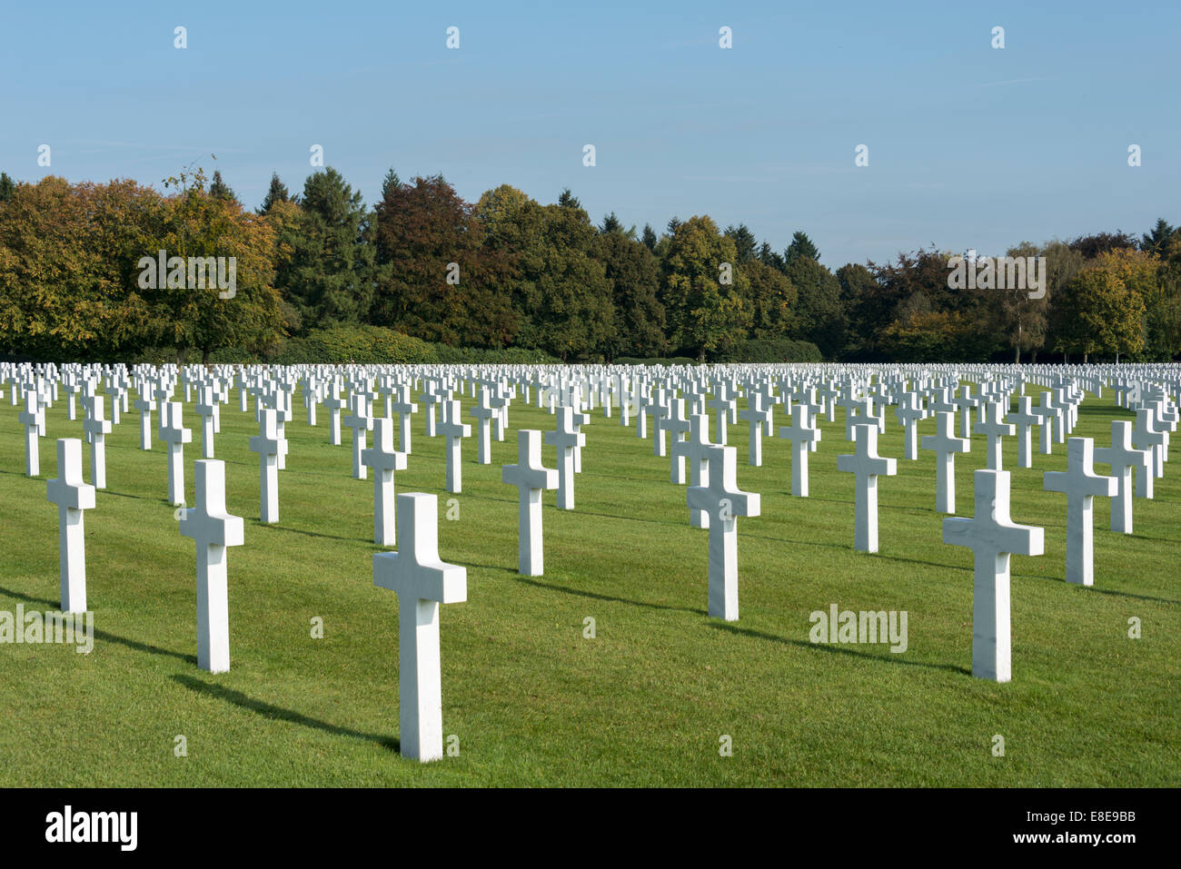 7700 croci bianche di soldati americani ai militari il cimitero americano henri chapelle in Belgio città hombourg Foto Stock