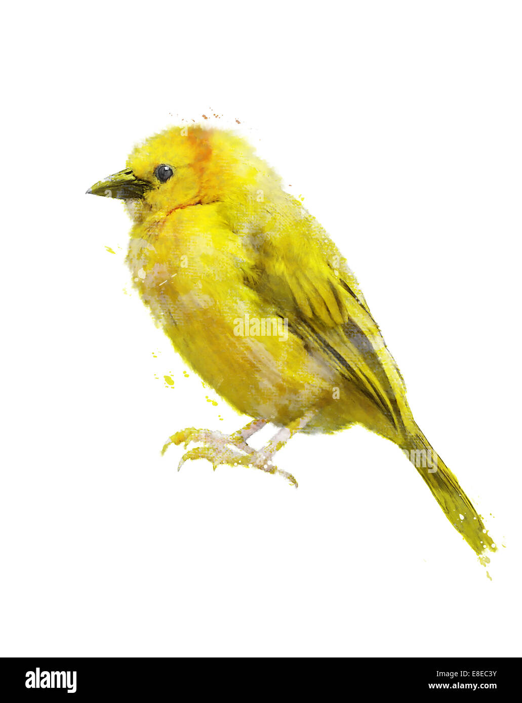 Acquerello la pittura digitale di uccello giallo Foto Stock