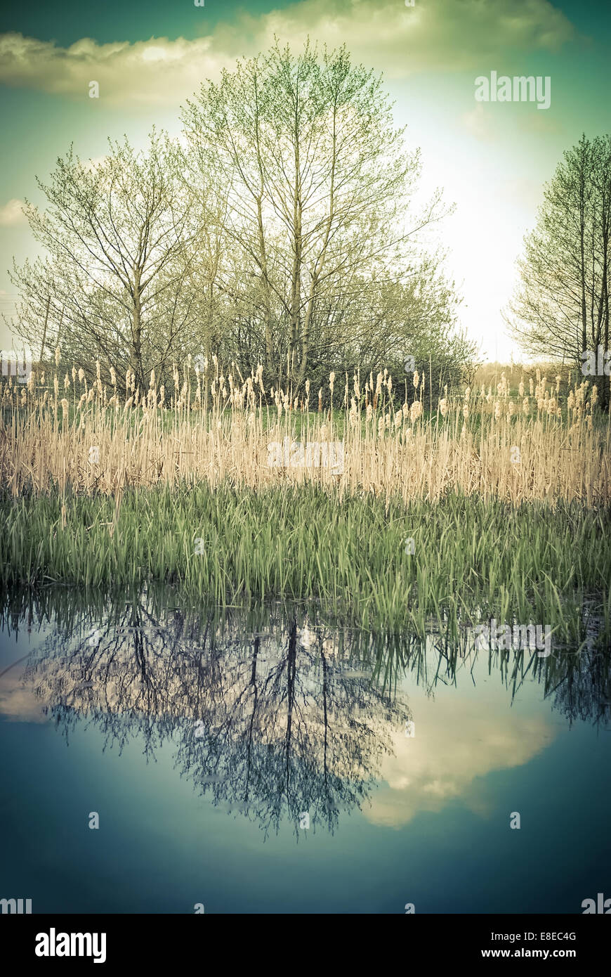 Giornata di sole in campagna. Paesaggio rurale con alberi e cielo riflesso nel lago. Sullo sfondo della natura in stile vintage Foto Stock