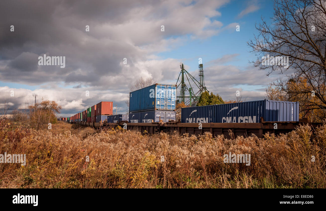 Un treno merci viaggia attraverso un campo come esso scompare nella distanza. Foto Stock