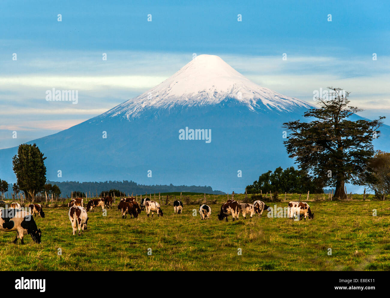 Paesaggio idillico del vulcano Osorno, Regione del Lago, Cile Foto Stock