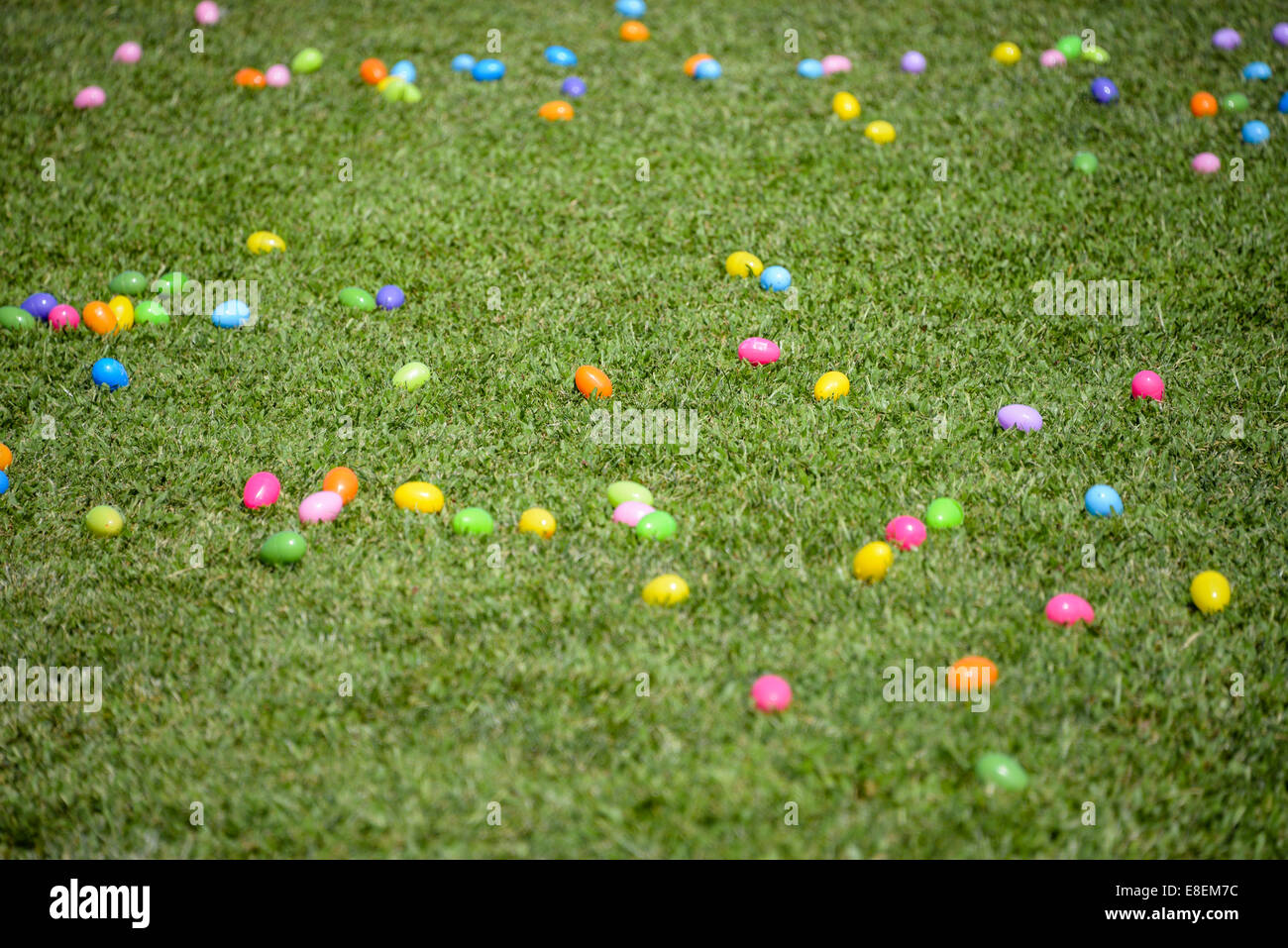 In plastica colorate uova di pasqua nel verde del campo di erba caccia all'uovo di caccia rush in colori diversi Foto Stock