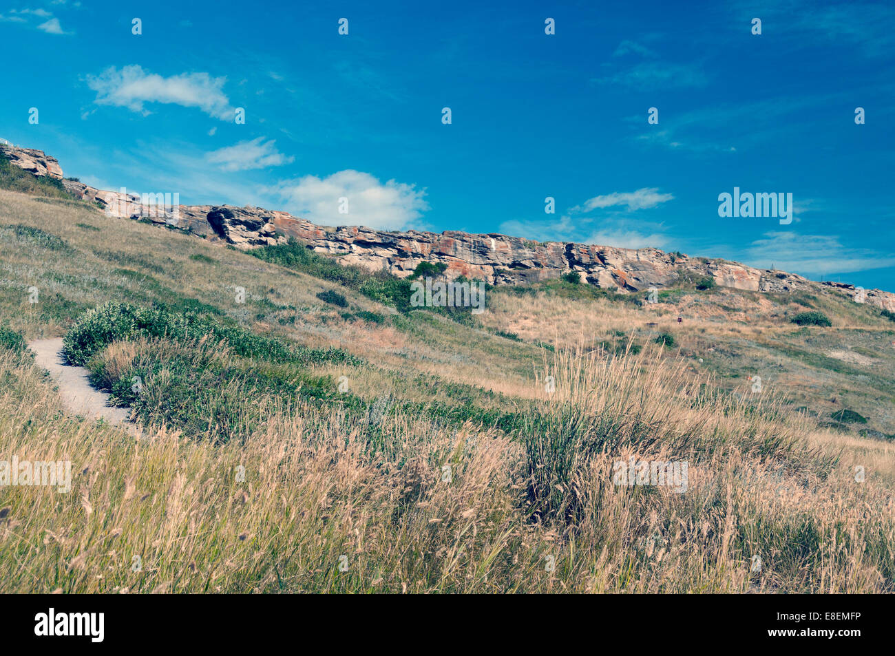 Elk203-6799 Canada, Alberta, Fort Macleod, Capo fracassato In Buffalo Jump, Buffalo Jump cliff da sotto Foto Stock