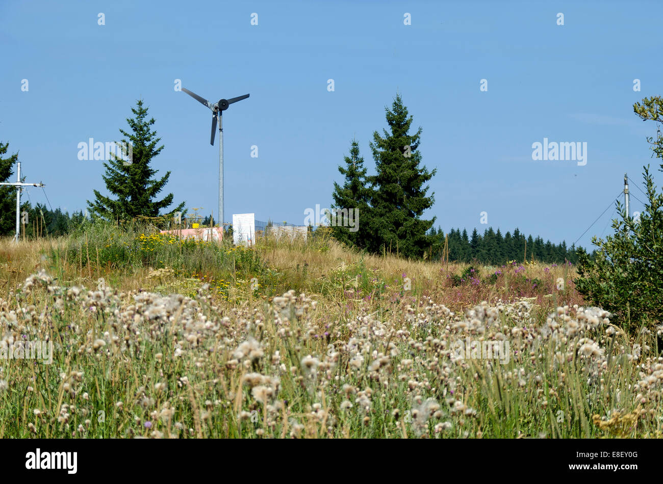 Elettrico Generatore eolico in oro ponti, sul monte Vitosha, Bulgaria Foto Stock