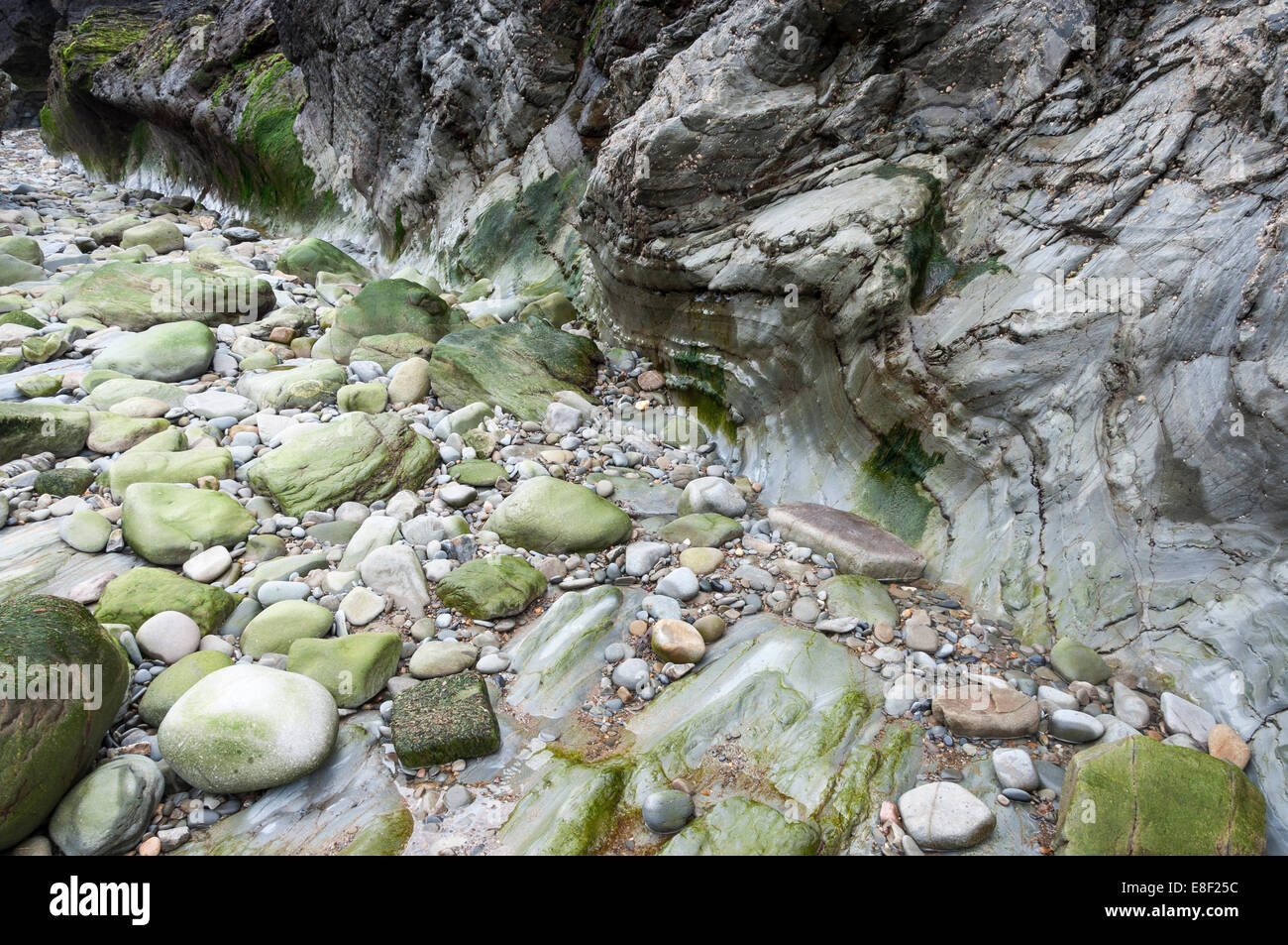 Geologia sulla spiaggia di Cwmtydu nel Galles occidentale, Regno Unito. Foto Stock