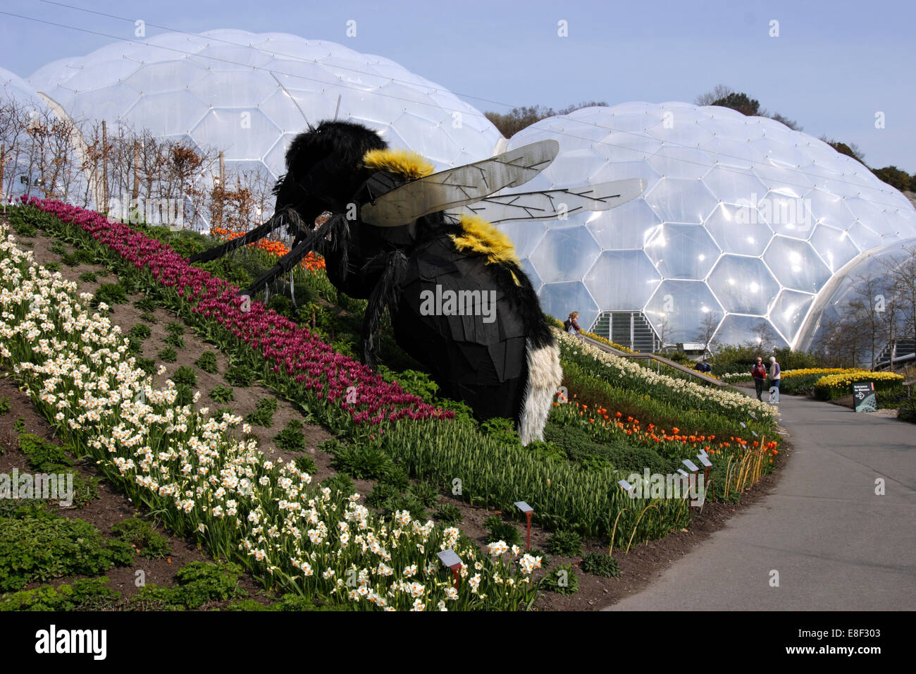 Giant Bumble Bee scultura, Eden Project, vicino a St Austell, Cornwall. Foto Stock