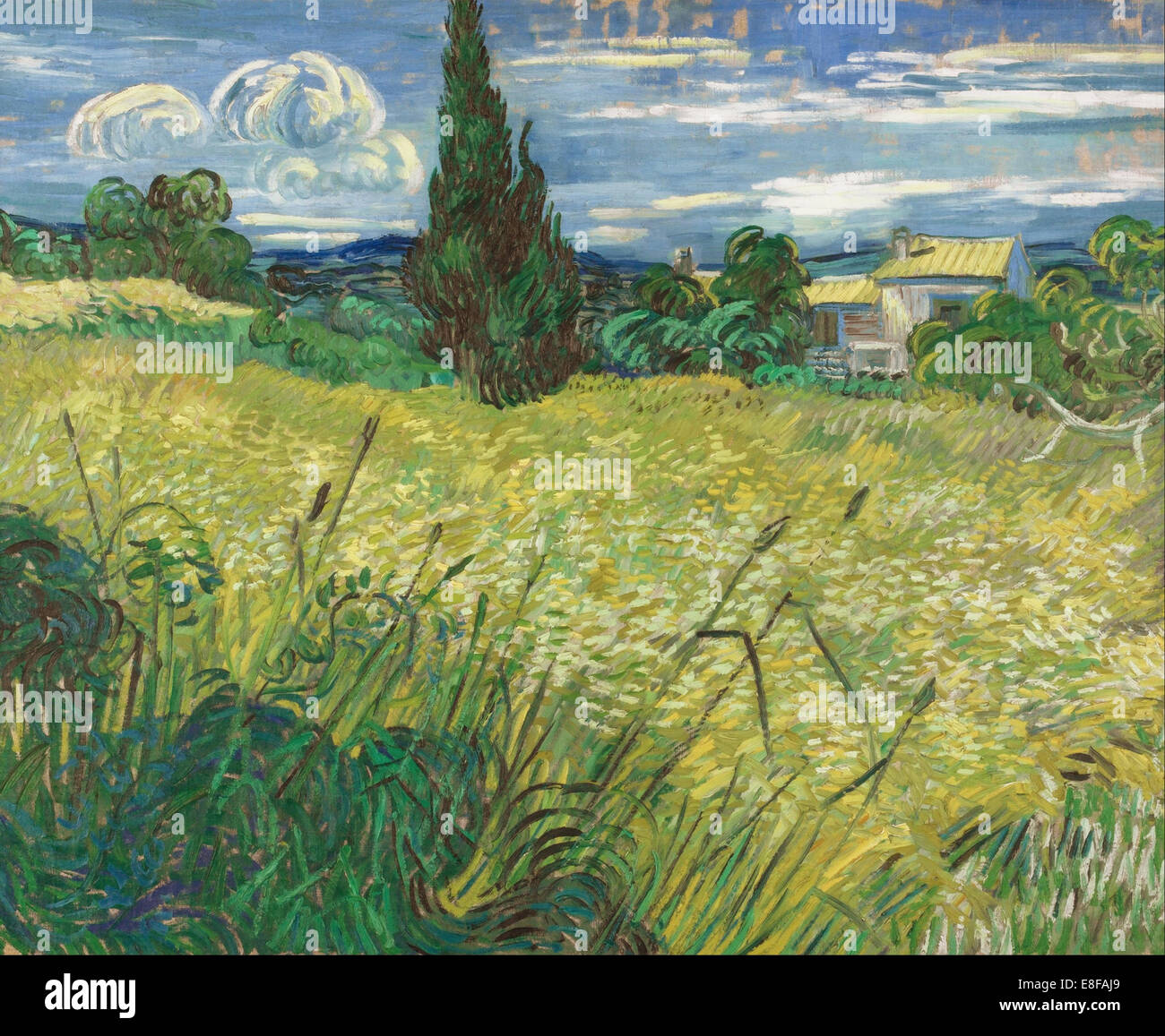 Kit Pittura Per Numeri YEESAM ART Van Gogh - Campo Di Grano Con Cipressi, 40x50cm - Foto 4