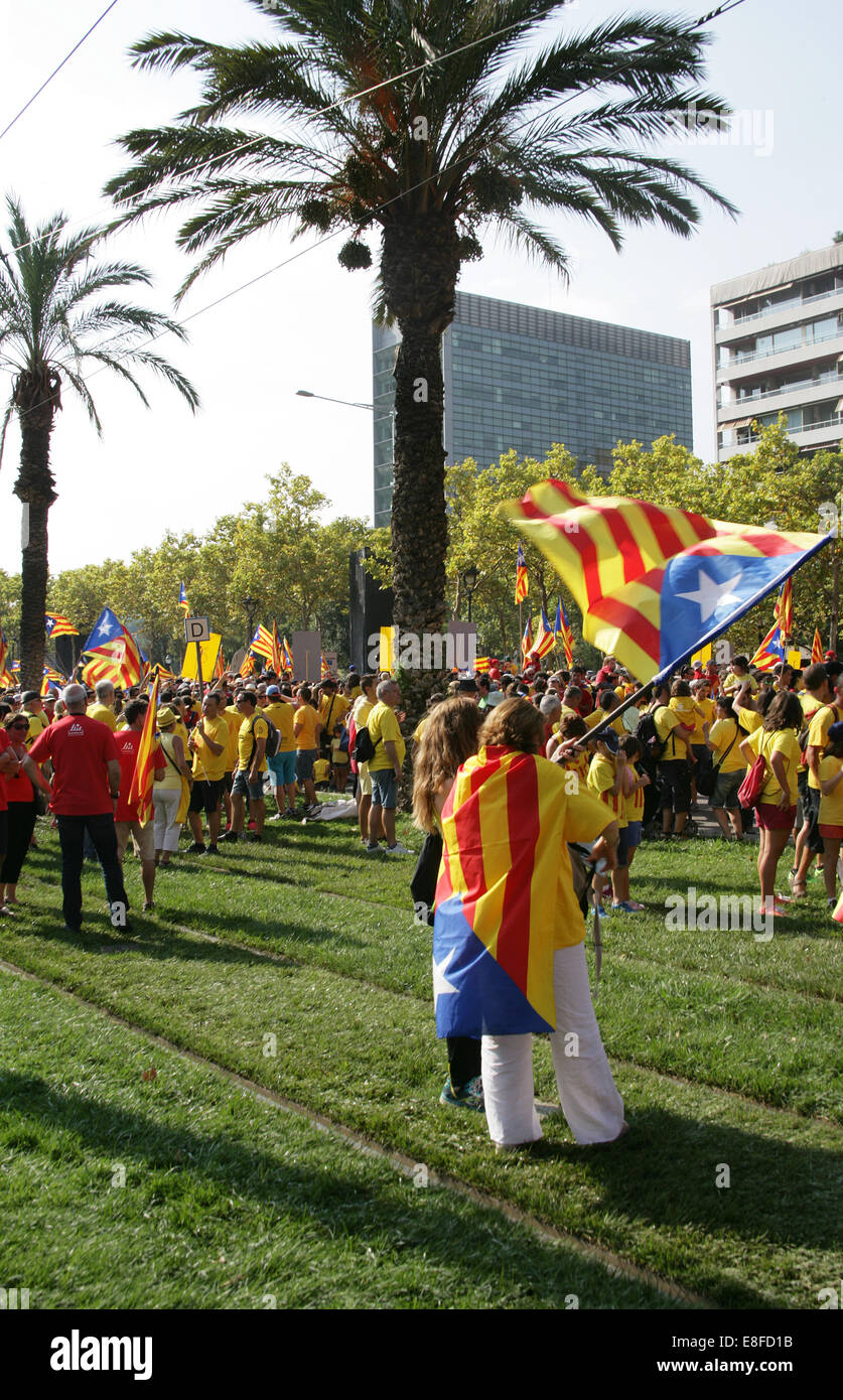 Barcellona. Giornata Nazionale della Catalogna (11-09-2014). Independentist bandiere. La Catalogna. Foto Stock