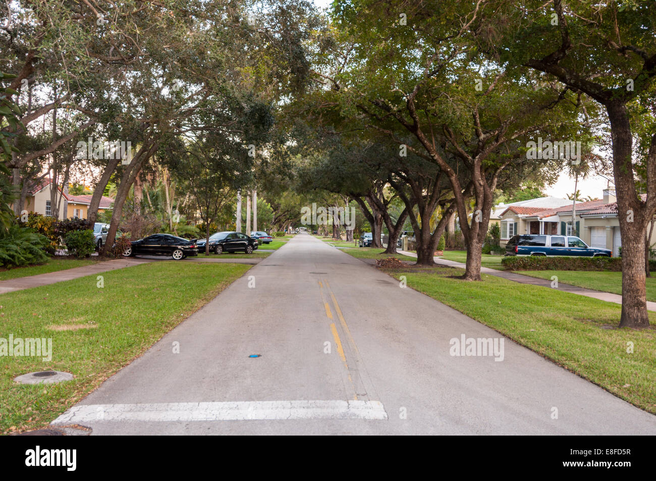 Street in Coral Gables, Florida, Stati Uniti d'America Foto Stock