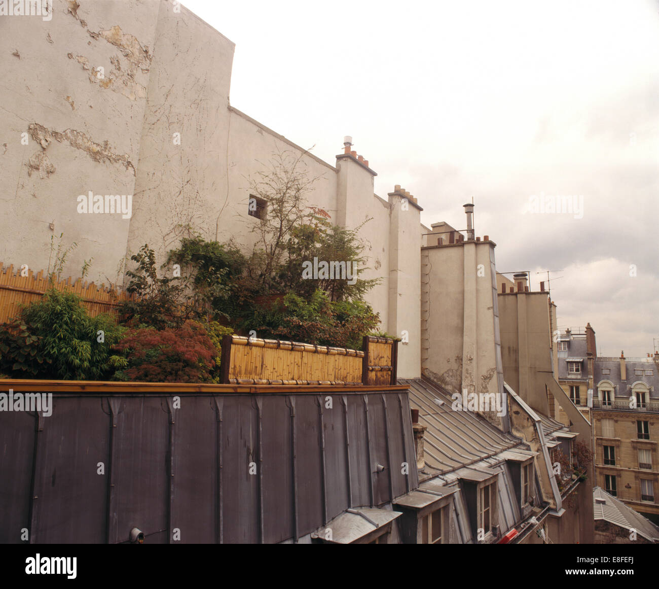 Piccolo giardino sul tetto sopra tradizionali villette a Parigi Foto Stock