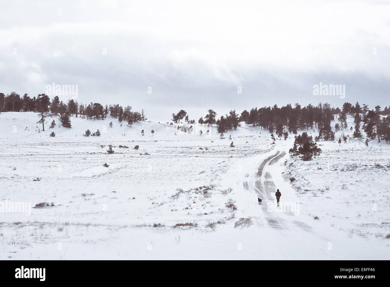 Donna che cammina lungo la strada con il cane in inverno, Illinois, Stati Uniti Foto Stock