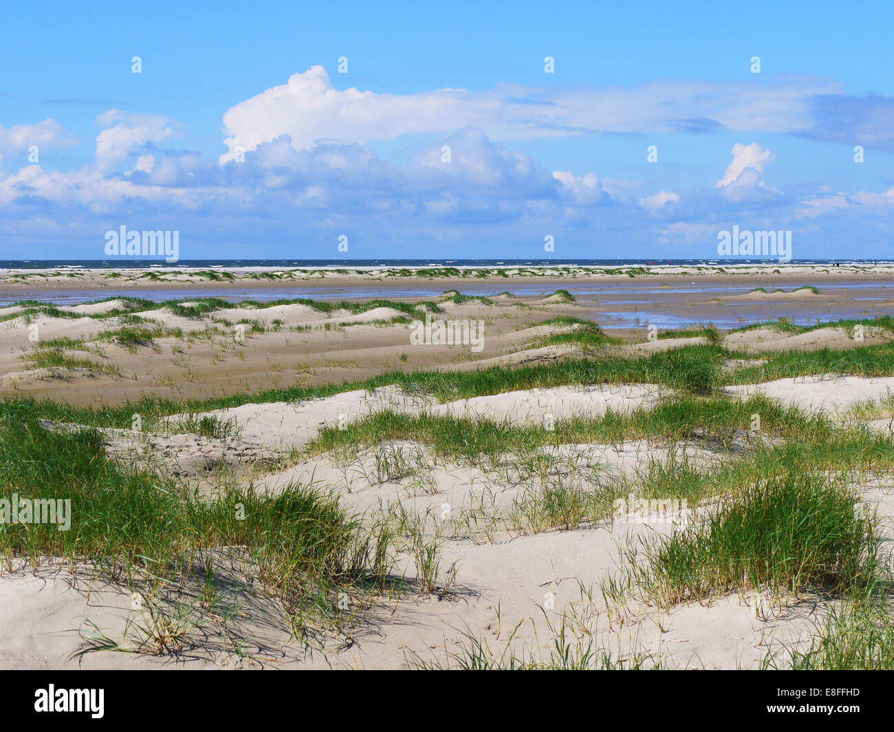 Spiaggia vuota, Fanoe Bad, Fanoe, Jutland, Danimarca Foto Stock