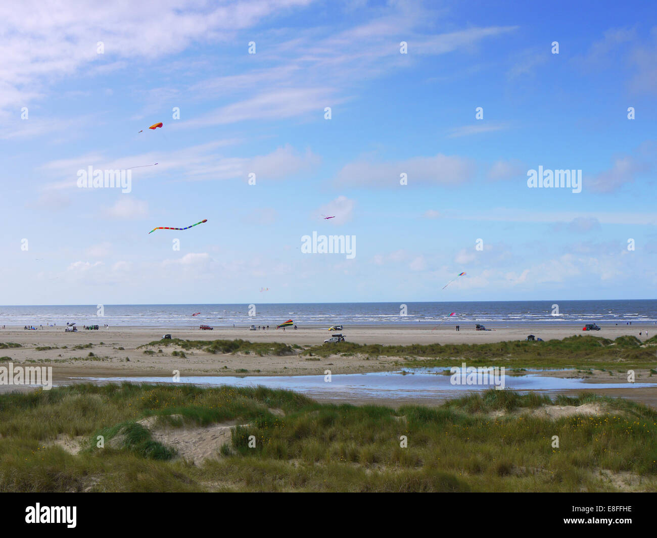 Aquiloni sulla spiaggia Rindby, Fanoe, Danimarca Foto Stock