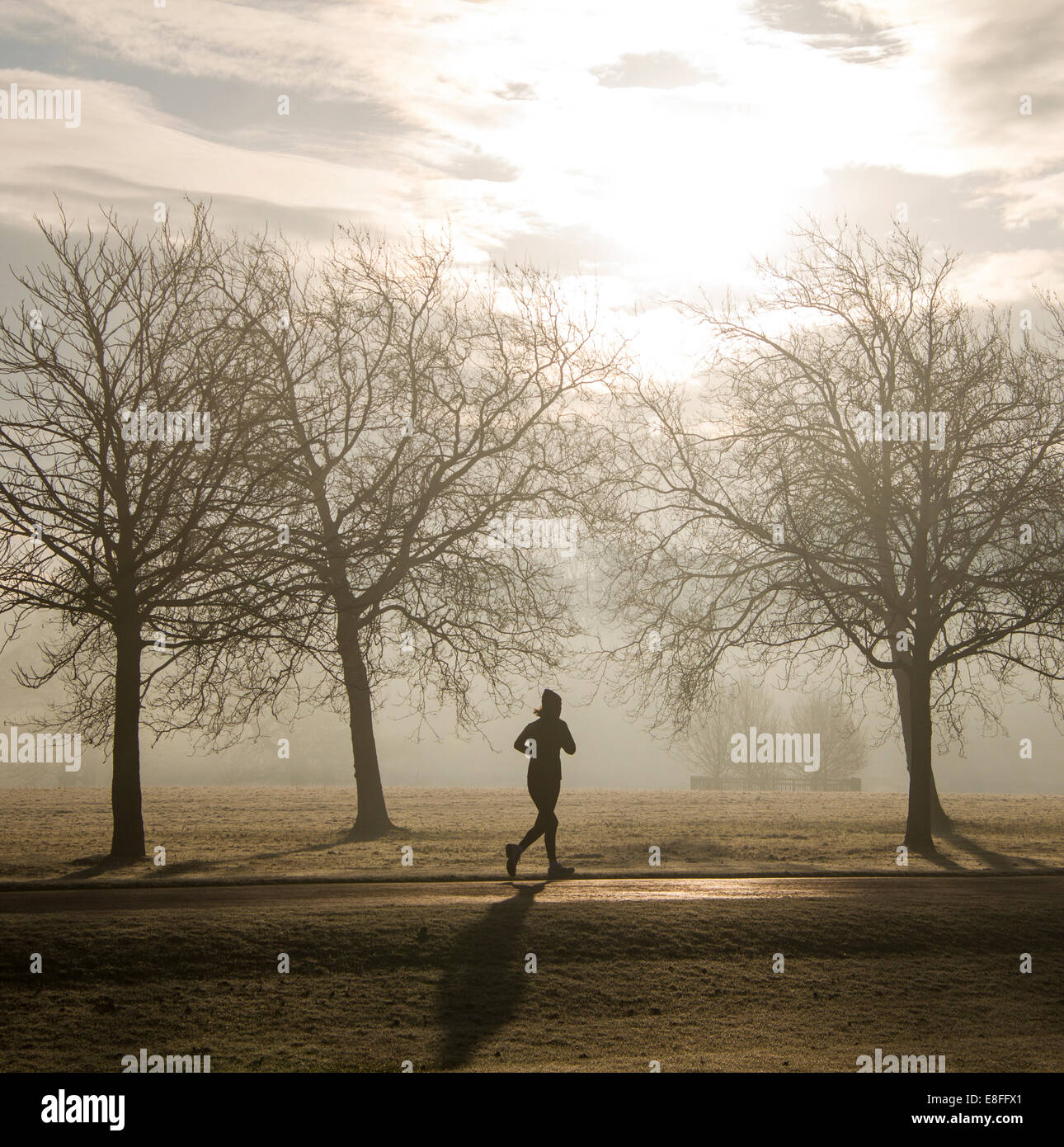 Silhouette di una donna che corre attraverso il parco, Inghilterra, Regno Unito Foto Stock