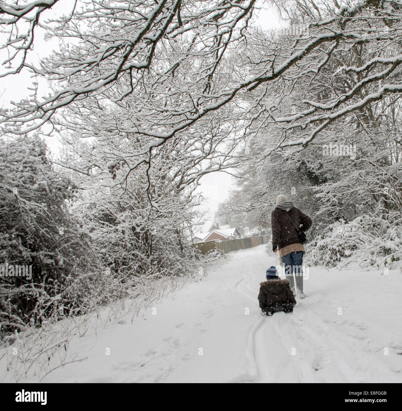 Due persone a piedi nella foresta in inverno Foto Stock