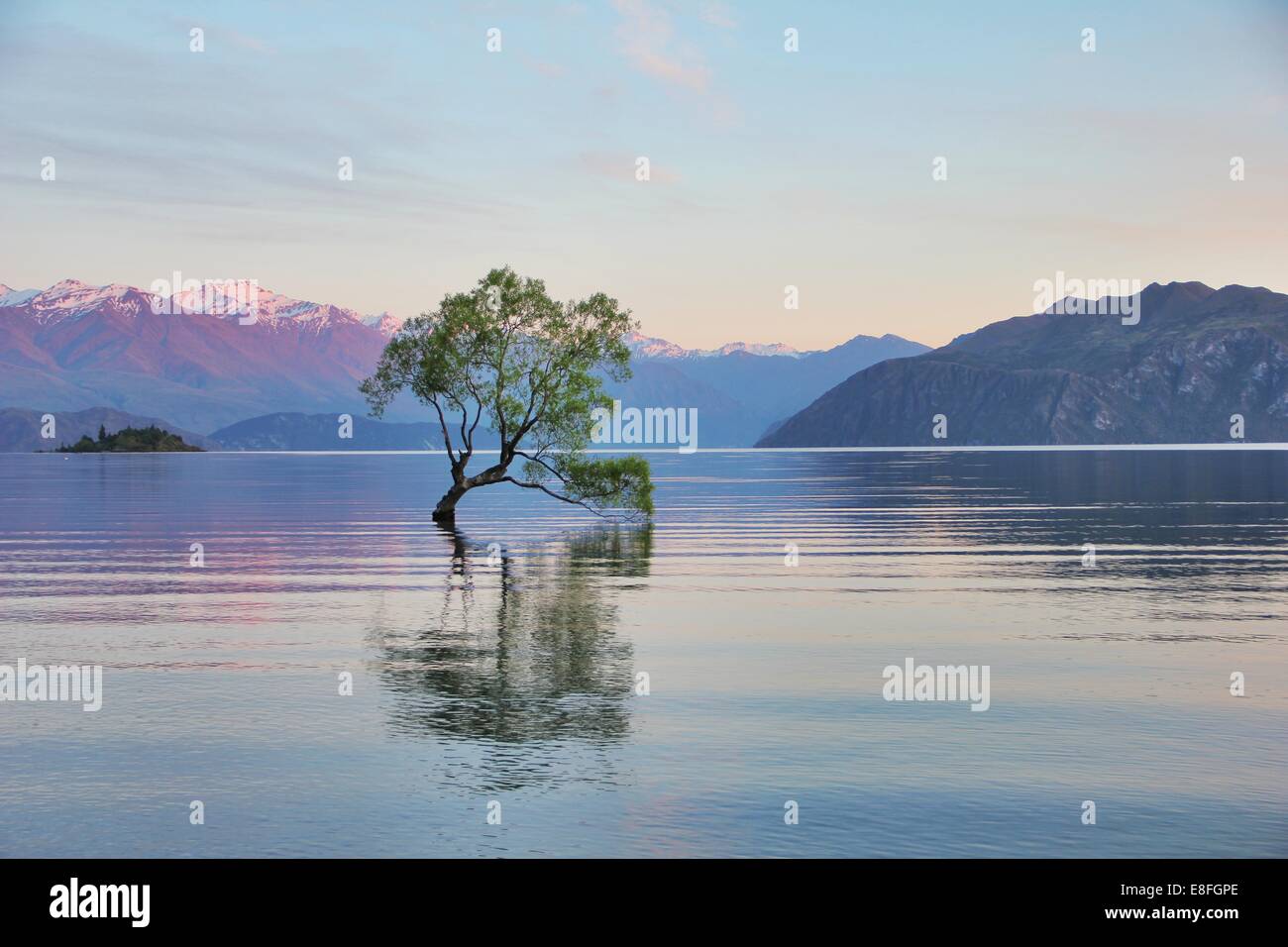 Nuova Zelanda Otago, la vista del Lago Wanaka Foto Stock