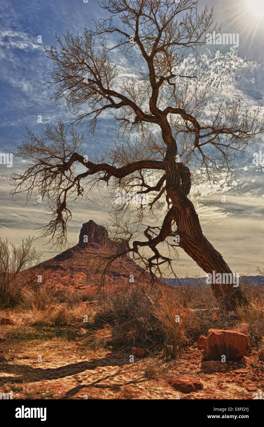 Castle Mountain, Professor Valley, Moab, Utah, Stati Uniti Foto Stock