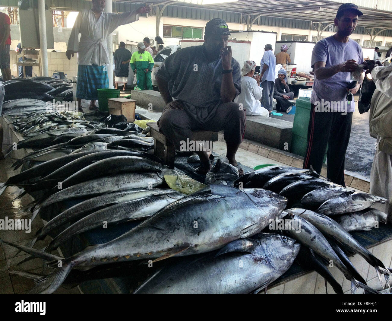 Oman, Moscato, tonno albacora al mercato del pesce Foto Stock