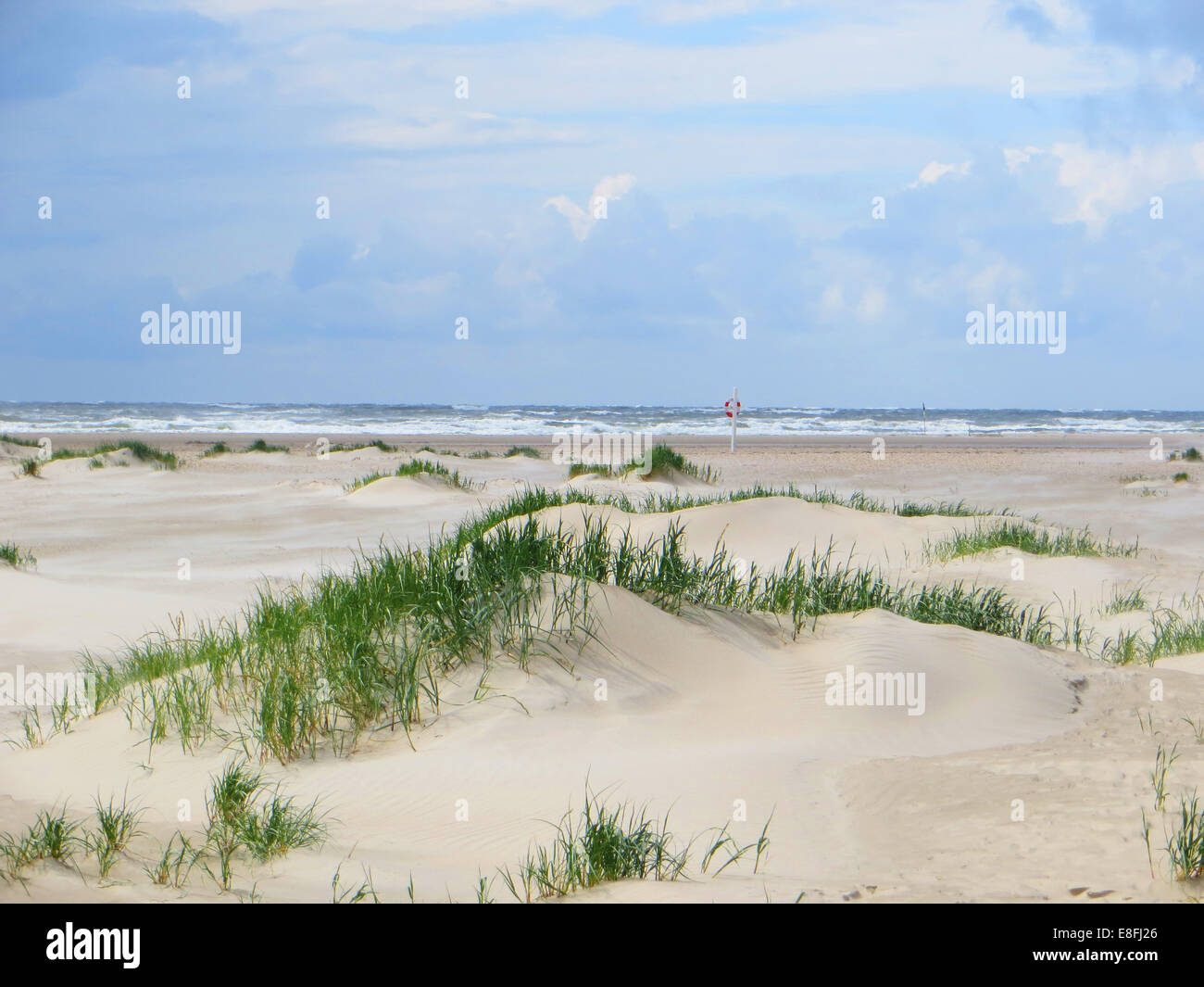 Dune di sabbia sulla spiaggia, Fanoe, Danimarca Foto Stock