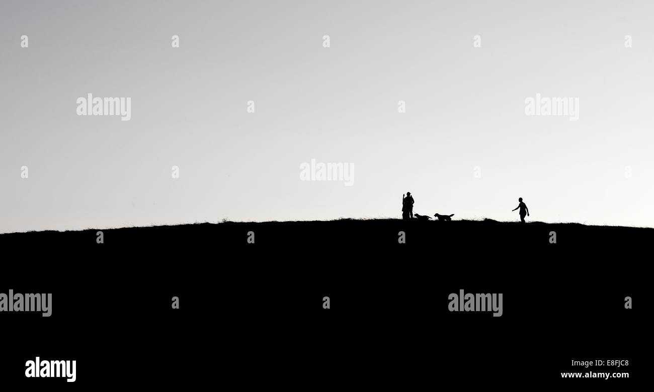 Padre, la figlia e il figlio a piedi con i cani sulla collina Foto Stock