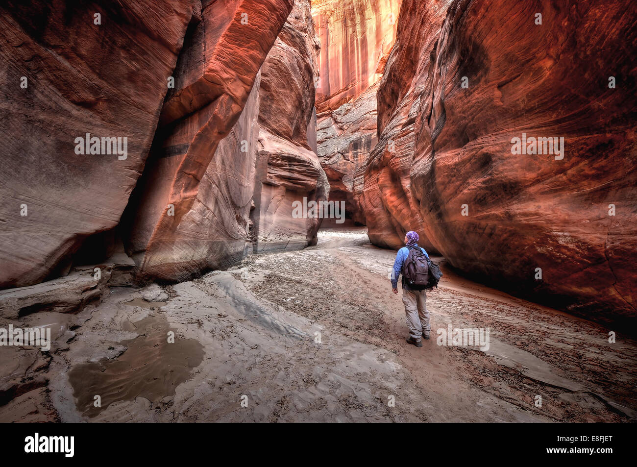 Stati Uniti d'America, Utah, Paria Canyon-Vermilion Cliffs Wilderness, persona escursionismo in Gulch daino Foto Stock