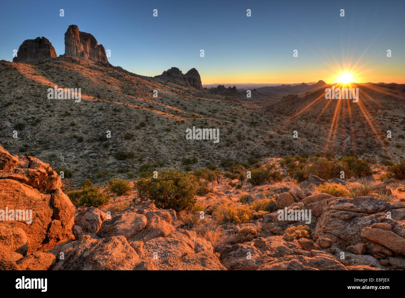 Mojave National Preserve all'alba, California, USA Foto Stock
