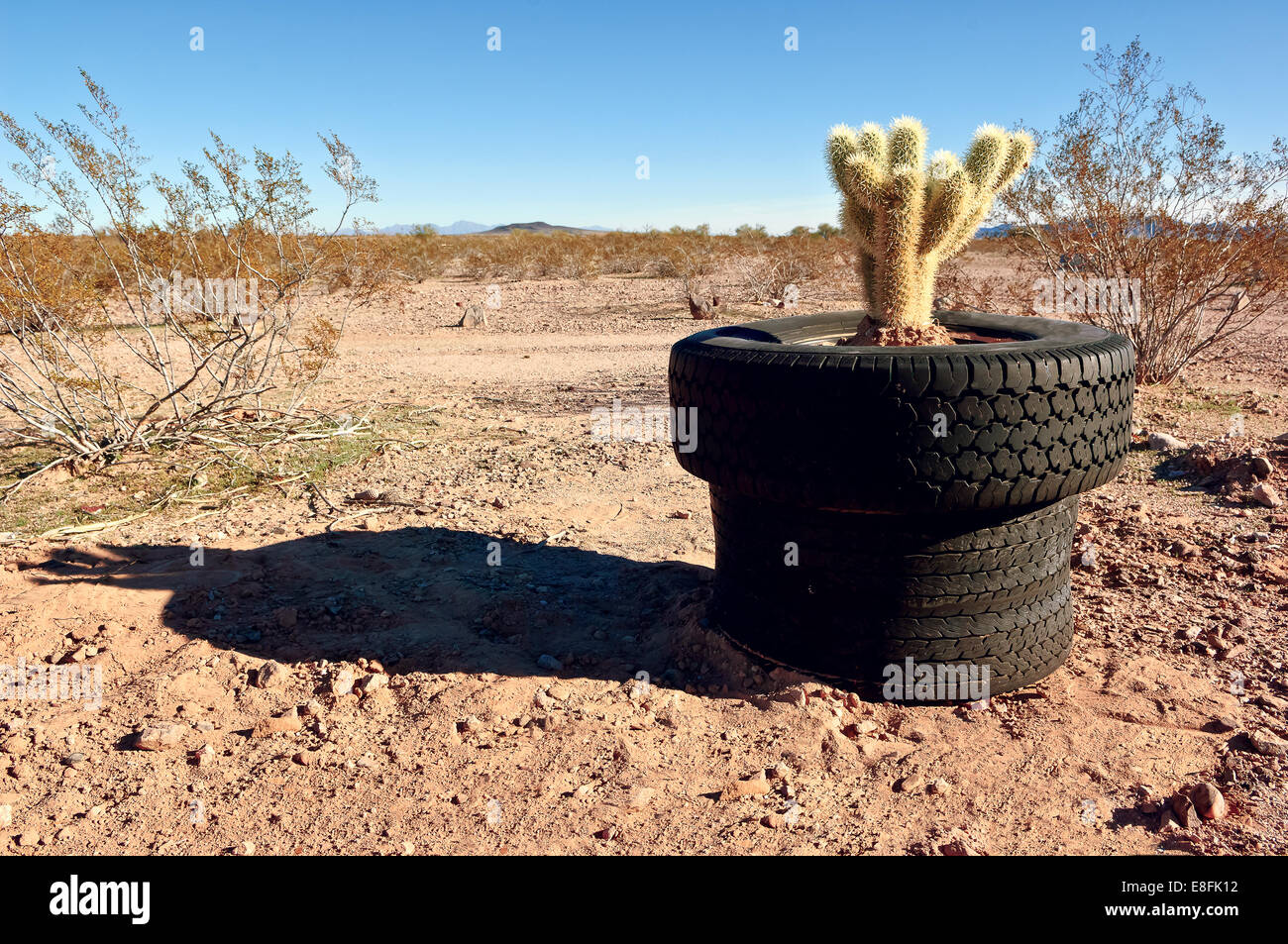Stati Uniti d'America, Arizona Maricopa County, Arlington, stanchi pot Foto Stock