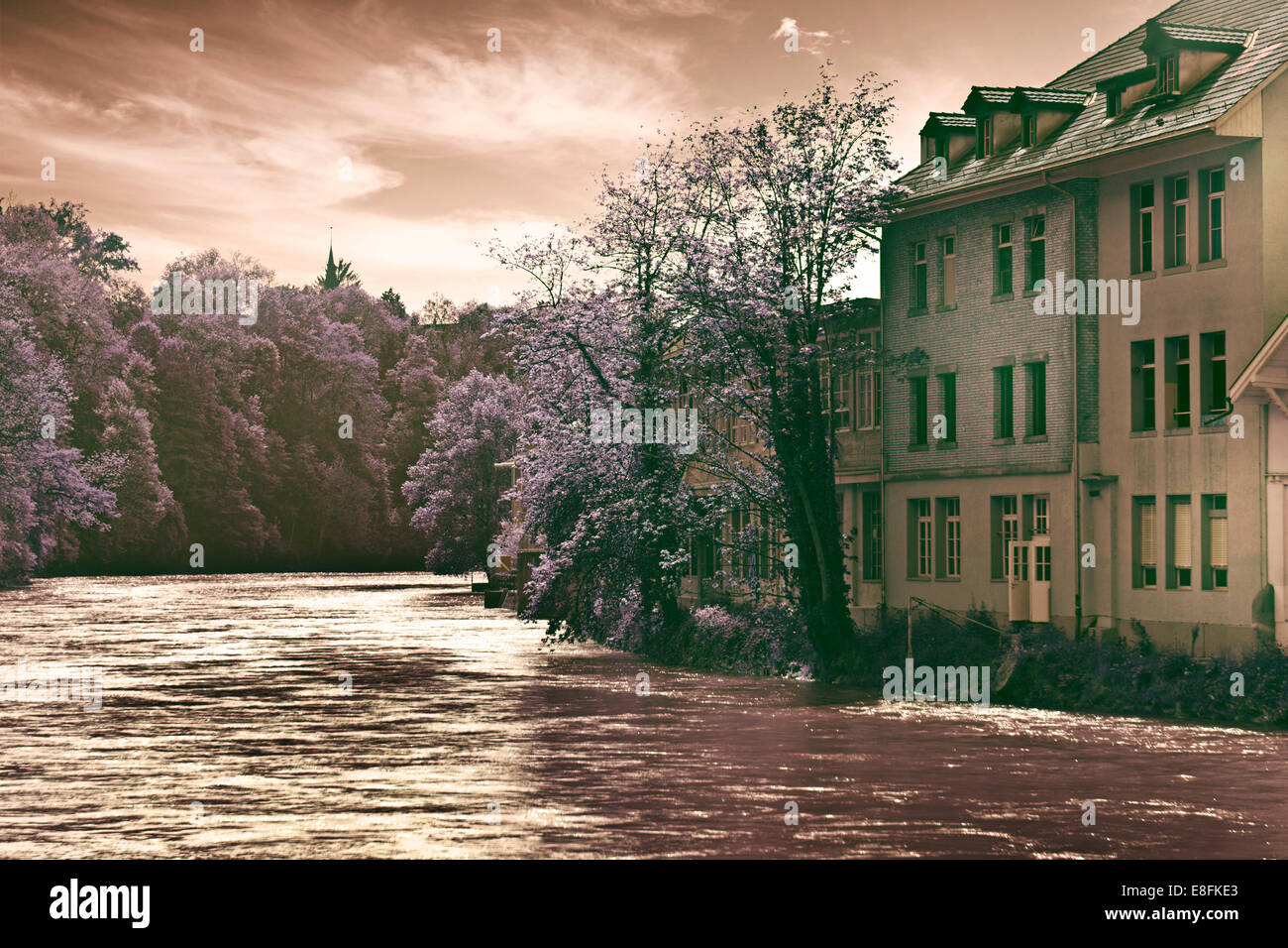 La Svizzera, Berna, vista del fiume Aare Foto Stock