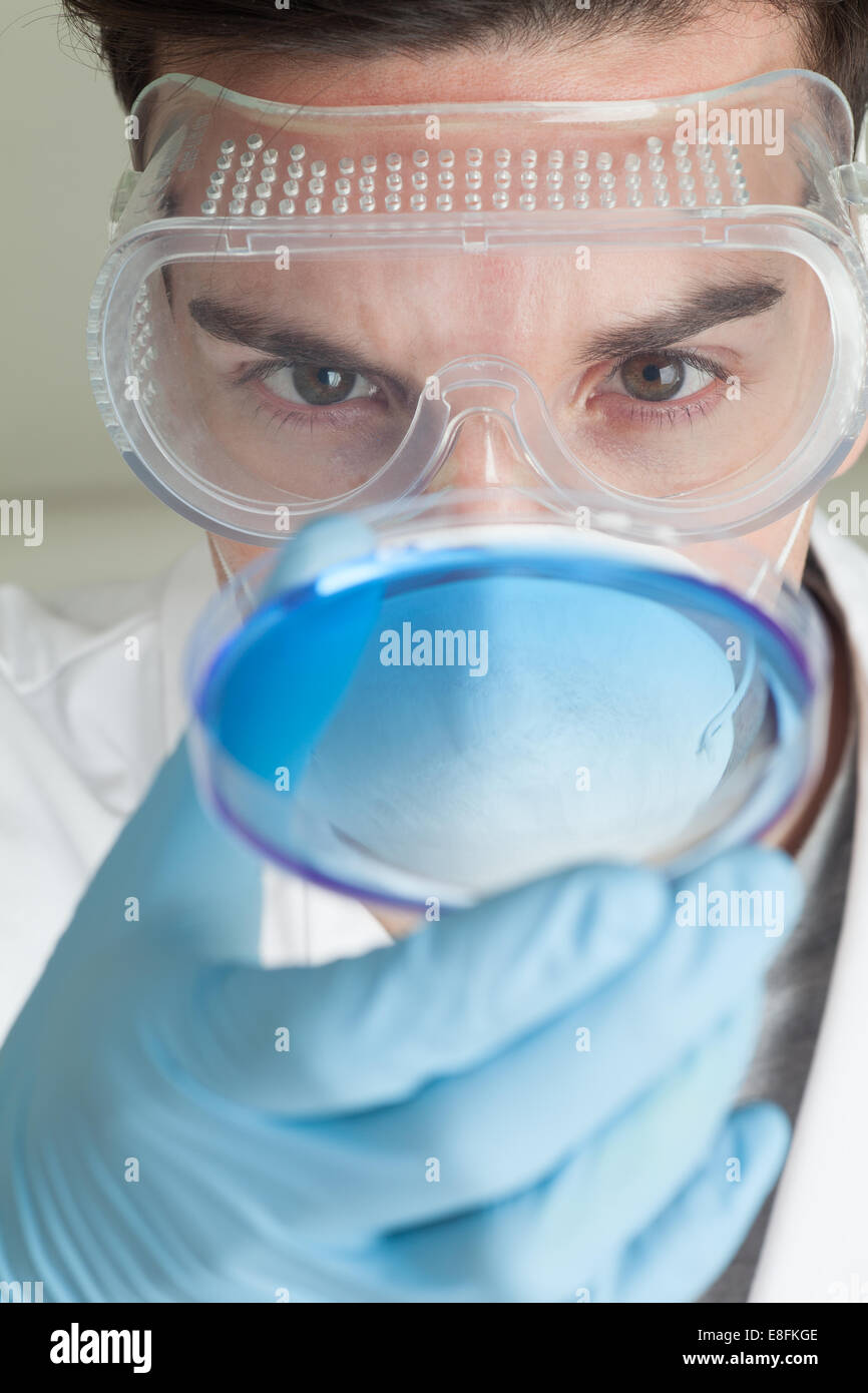 Scienziato guardando alla capsula di petri Foto Stock