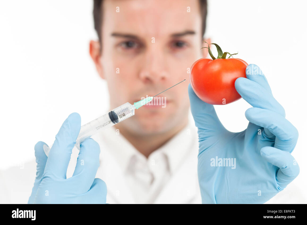 Scienziato di iniettare un pomodoro Foto Stock