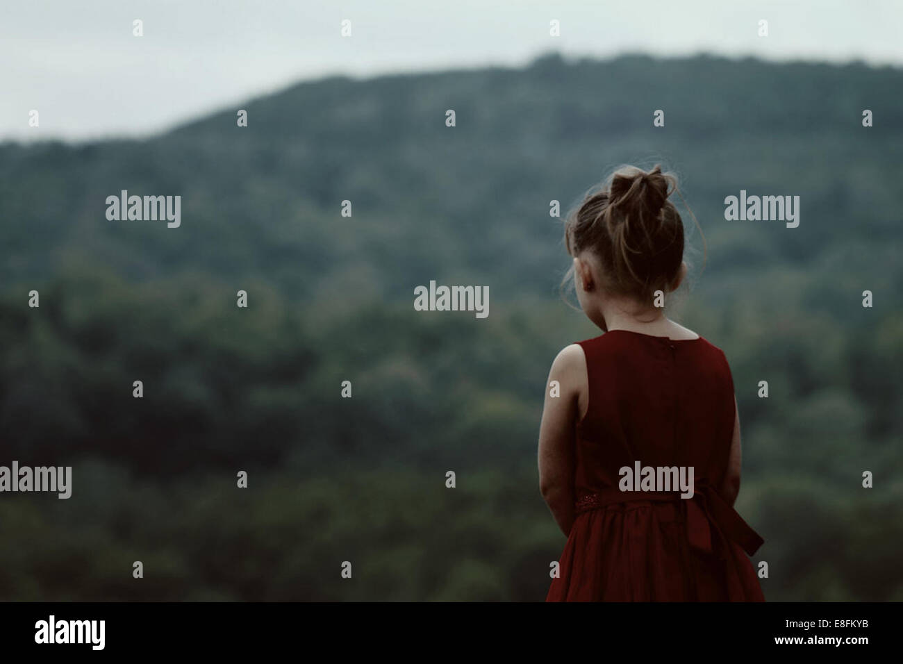 Vista posteriore di una ragazza che guarda il paesaggio rurale, Pennsylvania, Stati Uniti Foto Stock