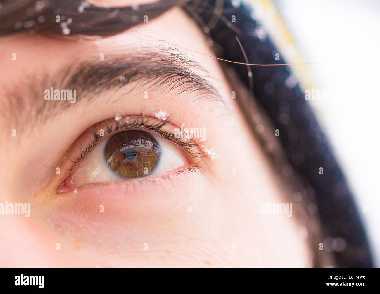 I fiocchi di neve su un Uomo's eye Foto Stock
