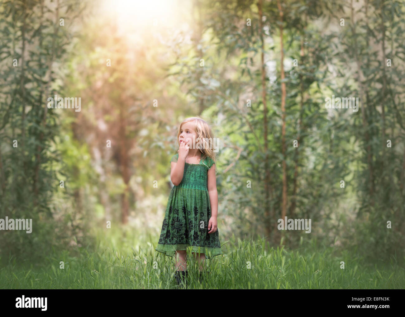 Ragazza in piedi in una foresta in un vestito verde, California, Stati Uniti Foto Stock