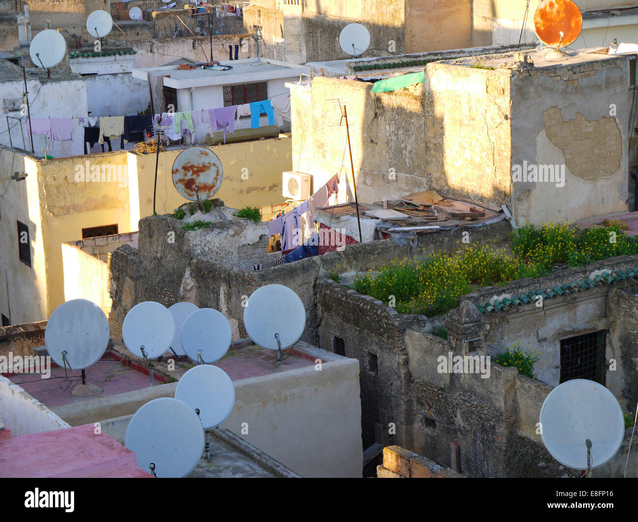 Le antenne paraboliche sui tetti della città, Marocco Foto Stock