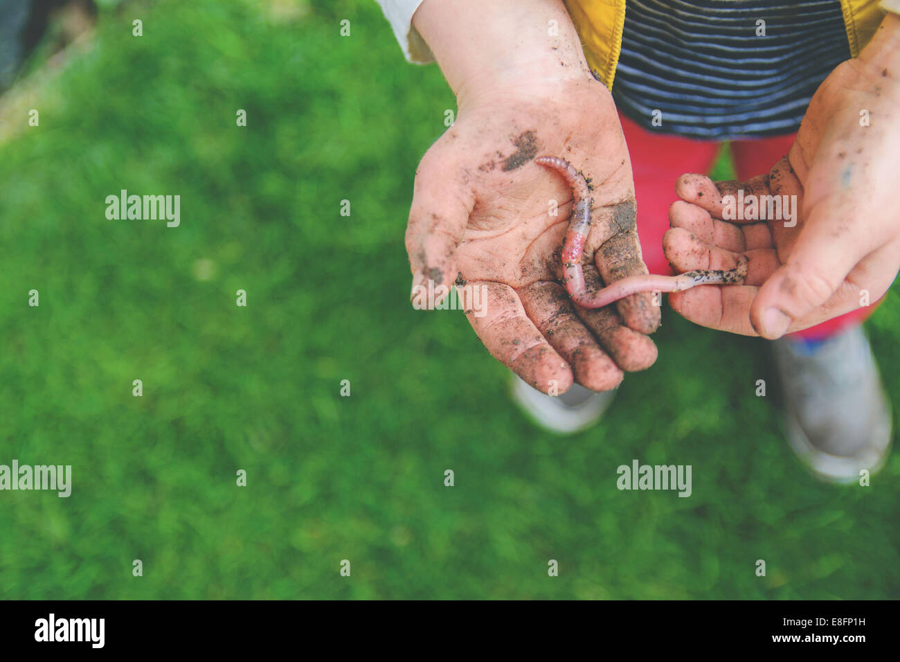 Primo piano di un ragazzo che tiene un verme di terra nelle sue mani, USA Foto Stock