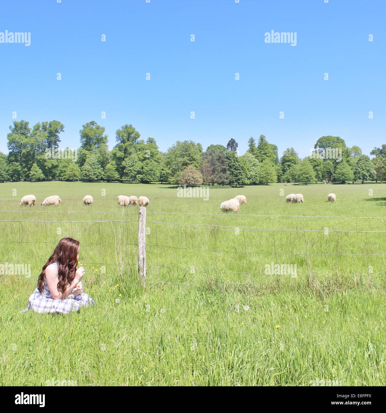 Ragazza seduta in un prato a caccia di fiori Foto Stock