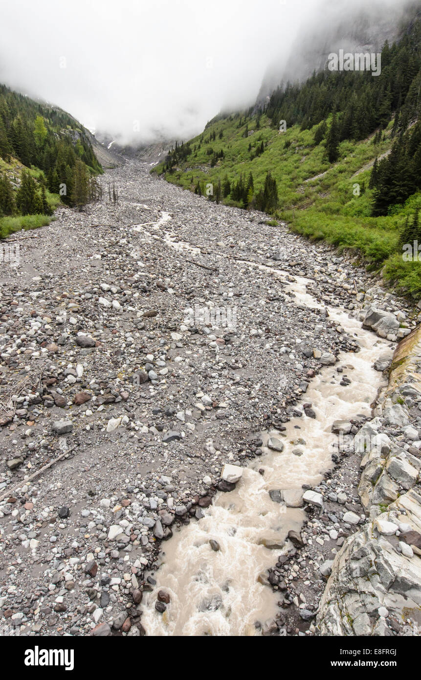 Stati Uniti d'America, nello Stato di Washington, il Parco Nazionale del Monte Rainier valley, Nisqually Vista fiume Foto Stock