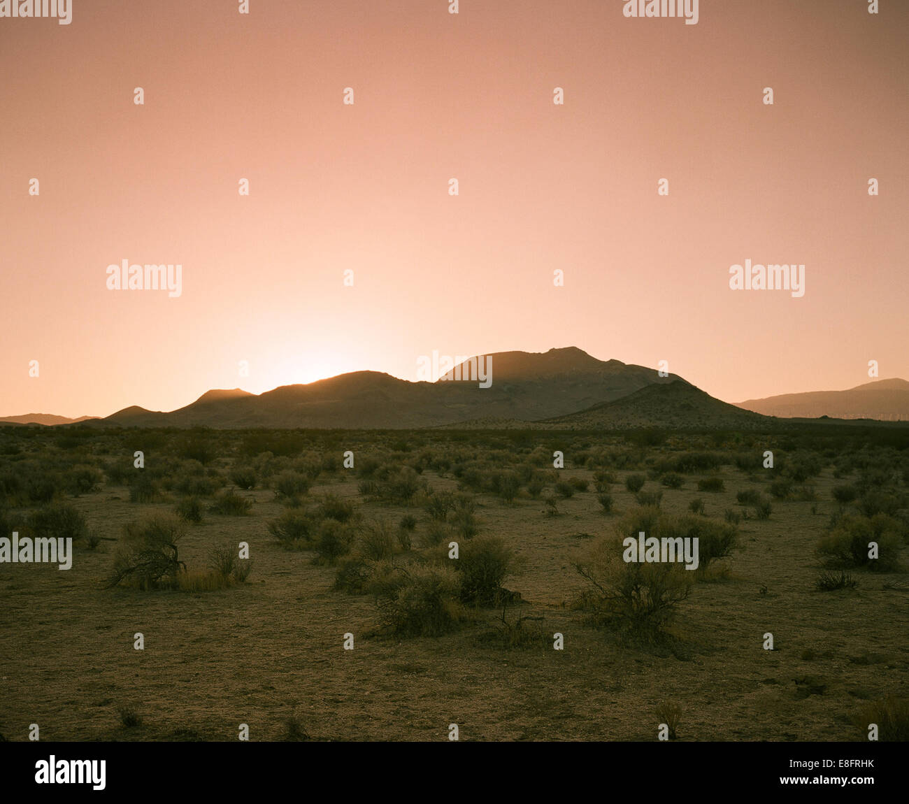 Stati Uniti, California, Tramonto nel deserto di Mojave Foto Stock