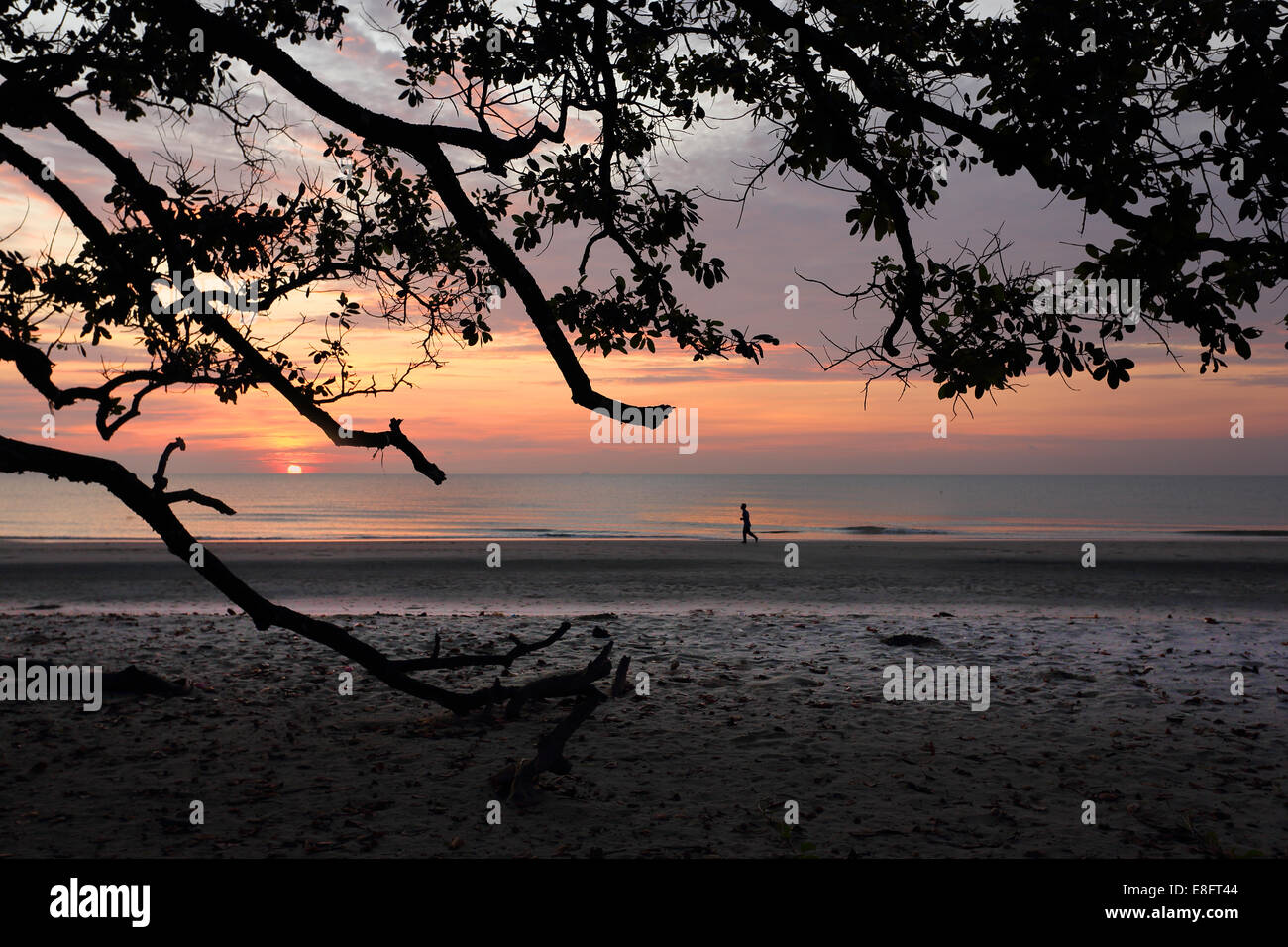 Un stagliano uomo correre in spiaggia durante il tramonto Foto Stock