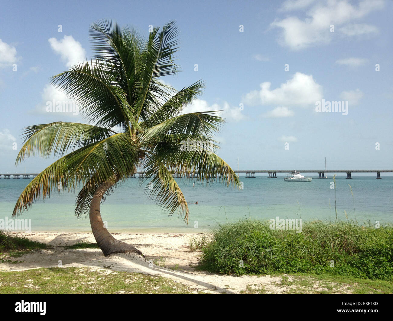 Spiaggia tropicale, Florida, Stati Uniti Foto Stock