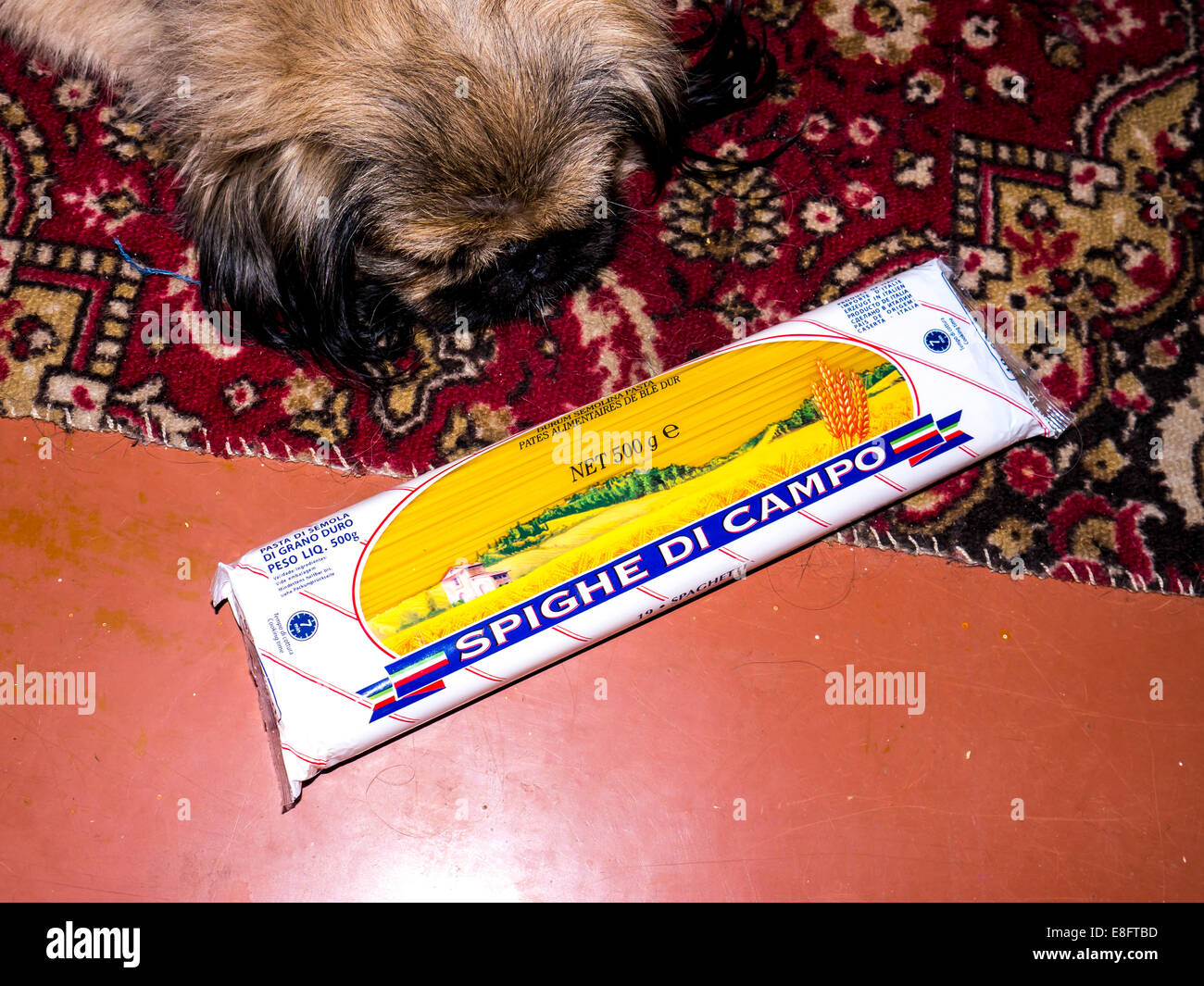 GOMEL, Bielorussia - Agosto 22, 2014: Pasta Spighe di Campo e cane. Spighe di Campo è un marchio di proprietà di prodotti da P.A.P. srl. Foto Stock