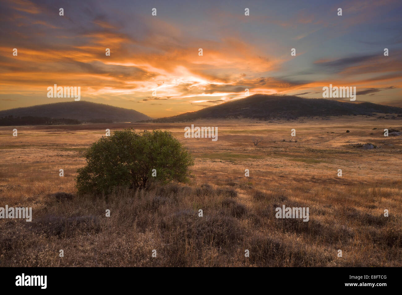 Stati Uniti, California, Cuyamaca Rancho stato parco al tramonto Foto Stock