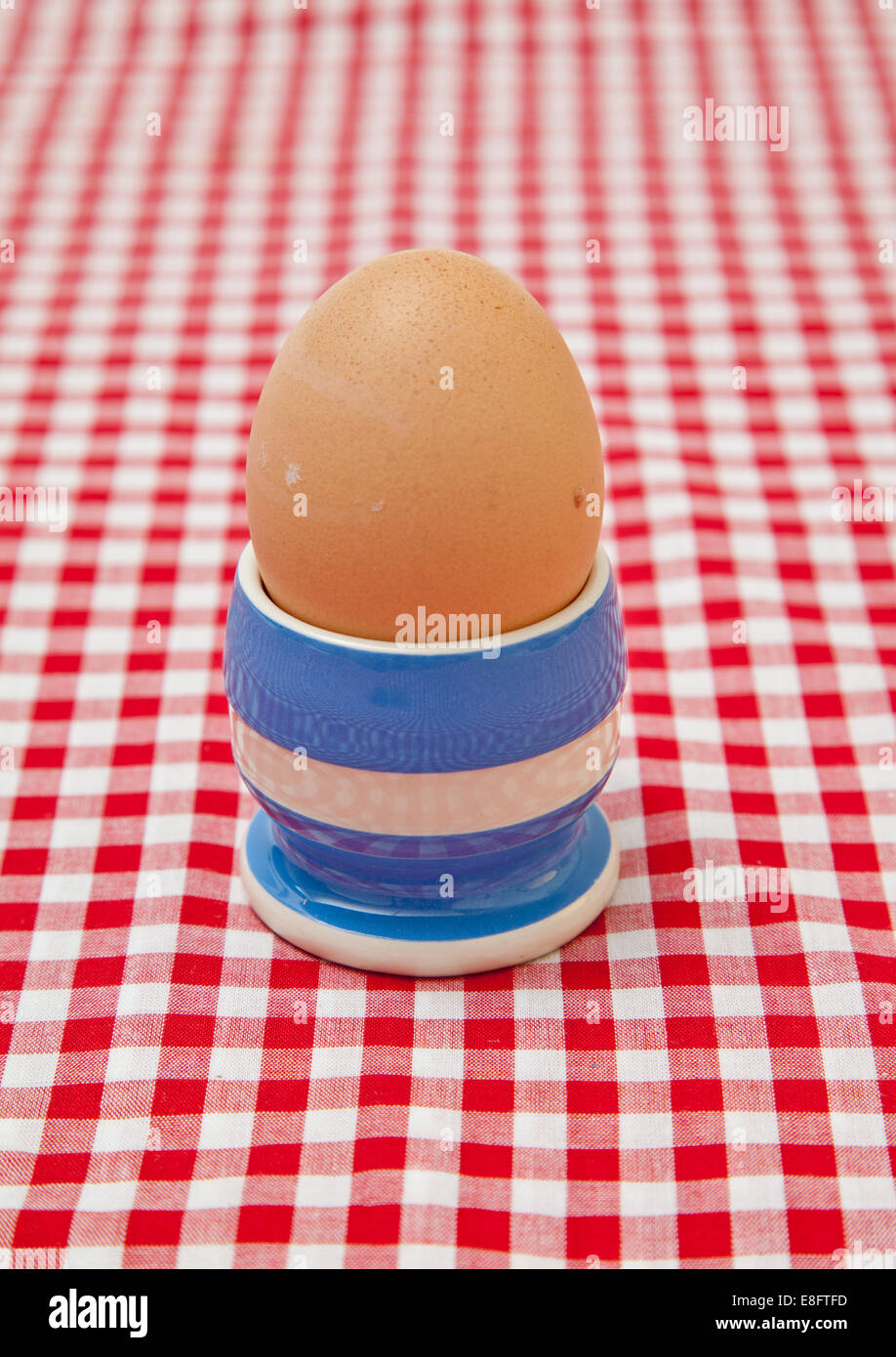 Primo piano di un uovo bollito in una tazza da uovo su una tovaglia a check-in Foto Stock