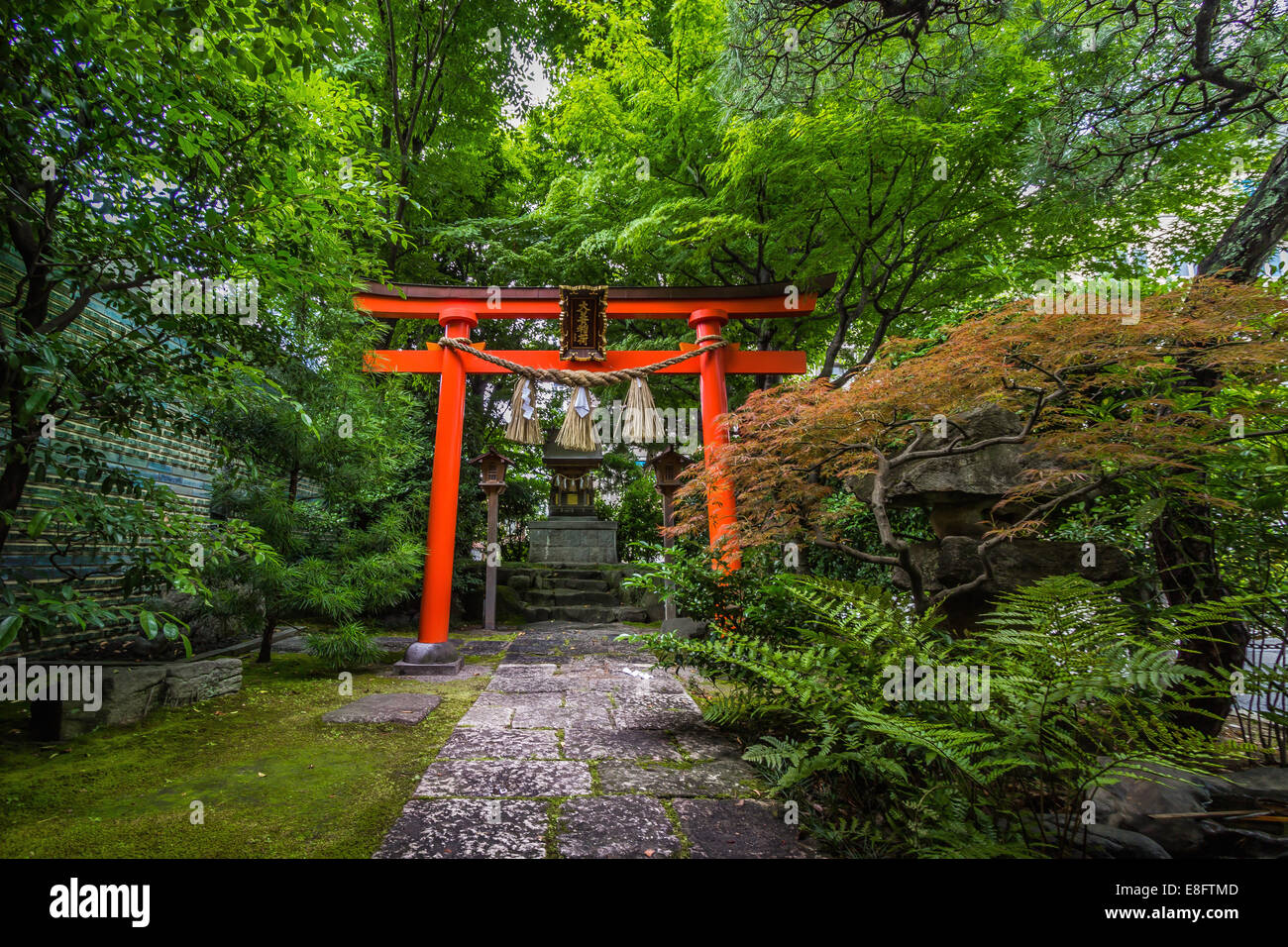 Giappone, Chita Okazaki, Torii gate, piccolo sacrario scintoista in area di boschi Foto Stock