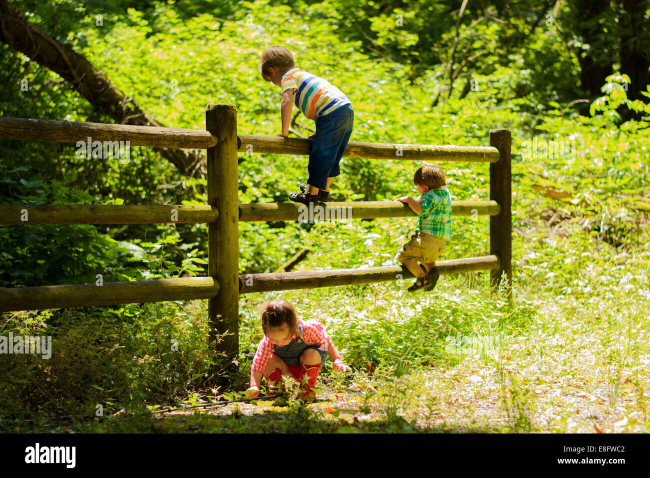 Tre bambini che arrampicano su una recinzione in paesaggio rurale, Stati Uniti Foto Stock
